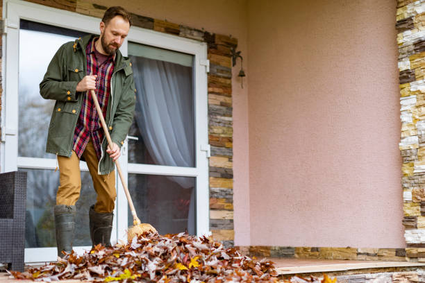 Best Basement Cleanout Services  in Shepherdstown, WV